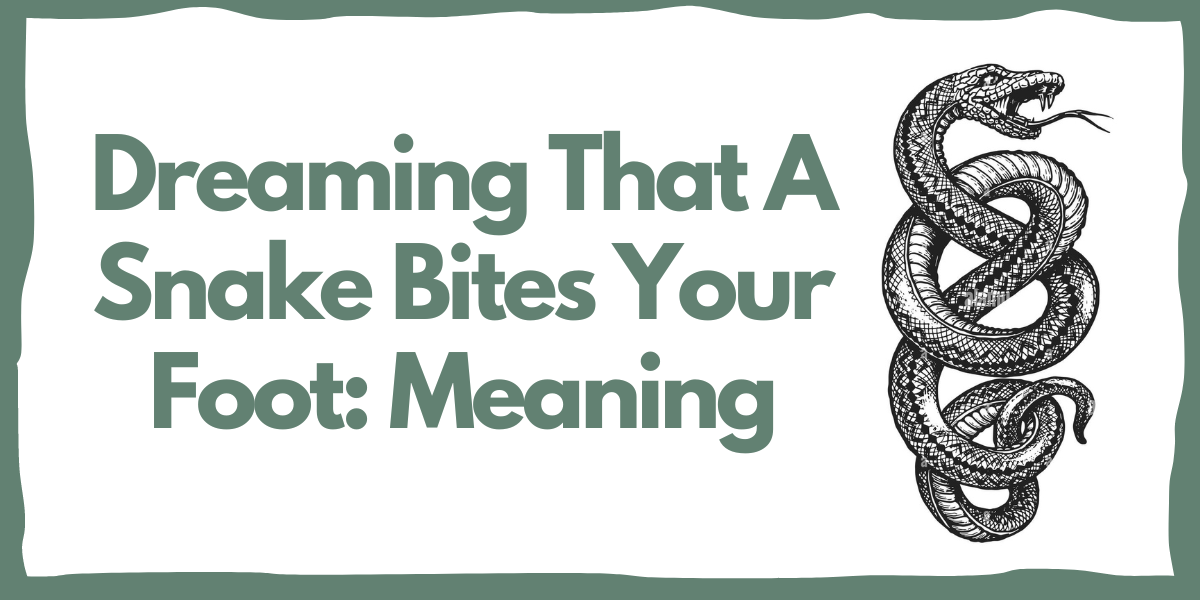 Dreaming That A Snake Bites Your Foot Meaning