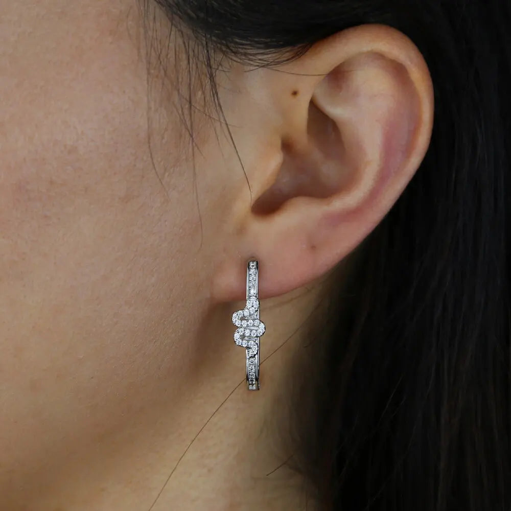 Dainty Snake Hoop Earrings Snakes Store™