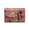Cobra Skin Wallet