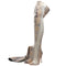 Snake Thigh High Boots