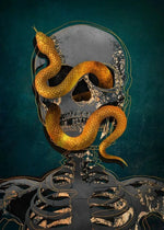Snake Head Painting - Vignette | Snakes Store