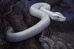 White Snake Painting - Vignette | Snakes Store