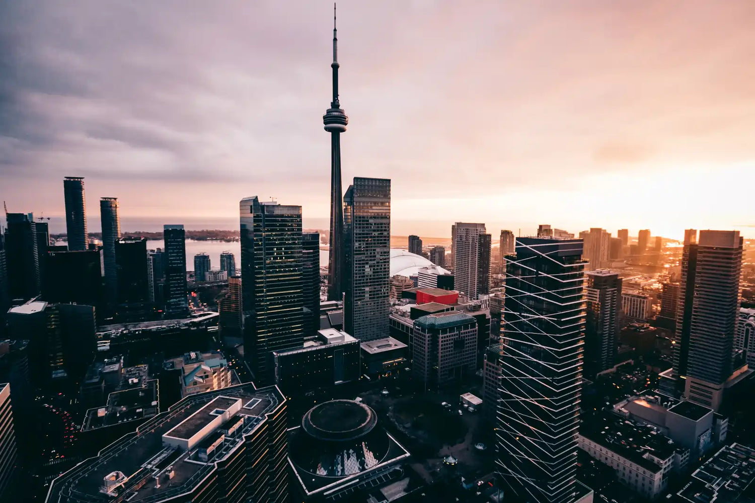 toronto-stunning-sunset snakes store