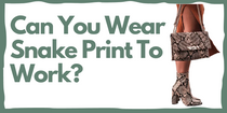 Can You Wear Snake Print To Work
