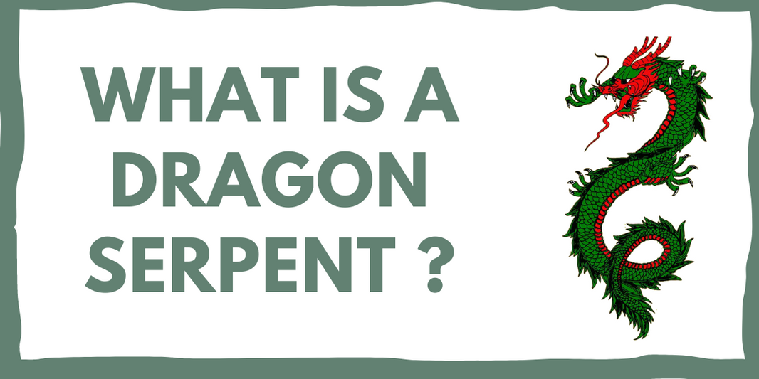 WHAT IS A DRAGON SERPENT ?