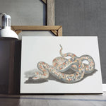Acrylic Snake Painting - Vignette | Snakes Store