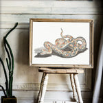 Acrylic Snake Painting - Vignette | Snakes Store
