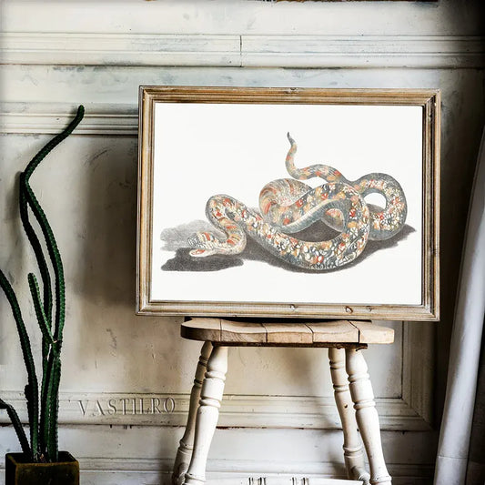 Acrylic Snake Painting Grey Snakes Store™