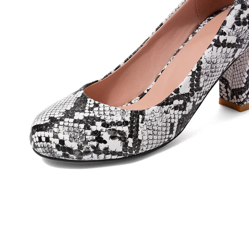 Snakeskin Pumps Block Snakes Store