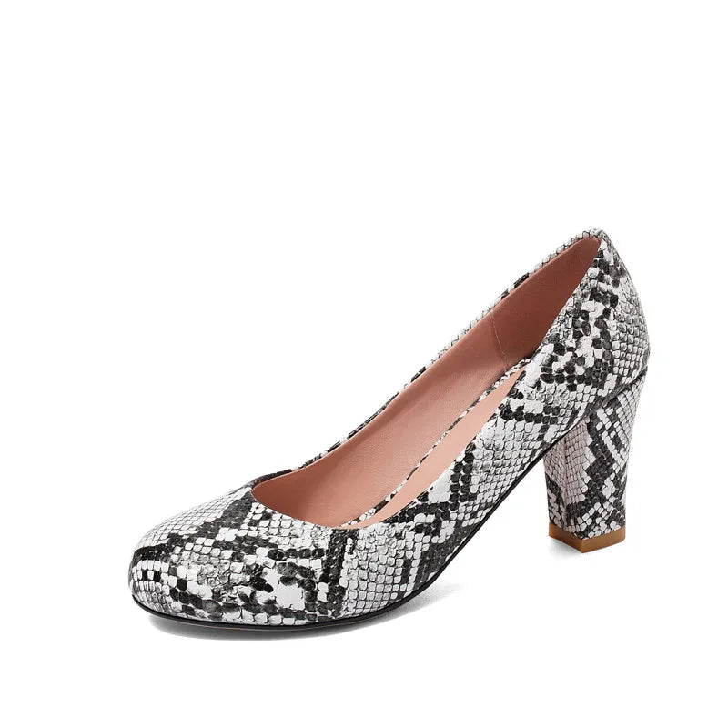 Snakeskin Pumps Block Snakes Store