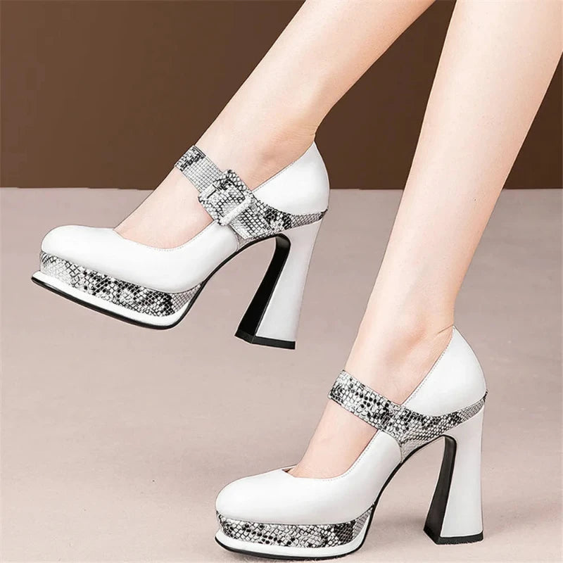 Snakeskin Platform Pumps Snakes Store