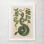 Green Snake Painting - Vignette | Snakes Store