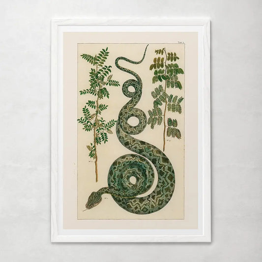 Green Snake Painting Snakes Store™