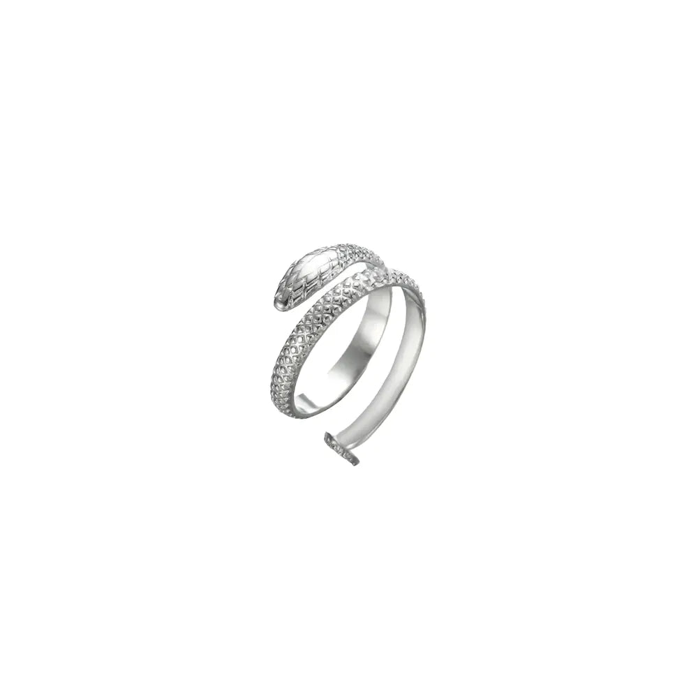 Wrap Around Snake Ring Silver Snakes Store™